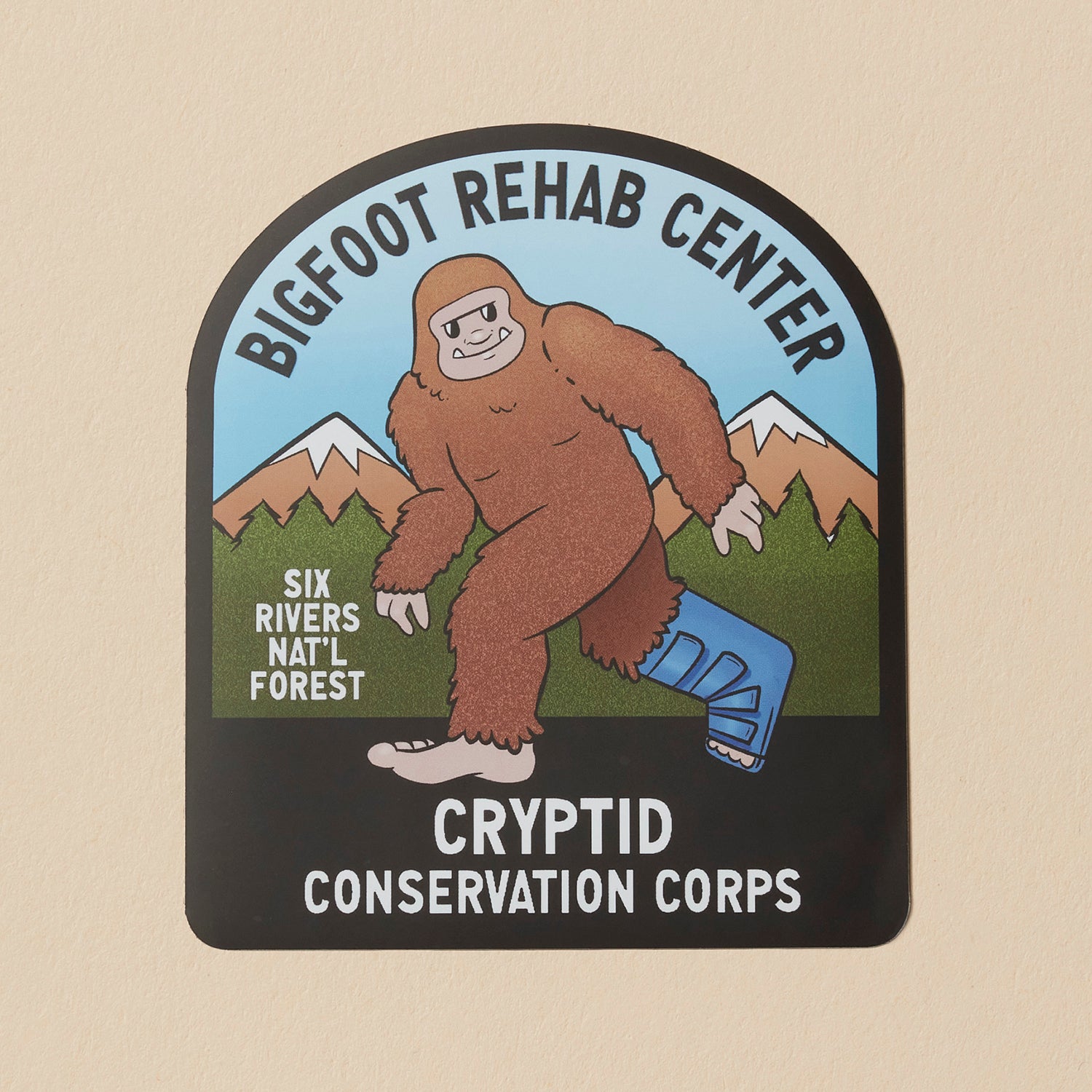 Bigfoot Rehab Center Car Magnet