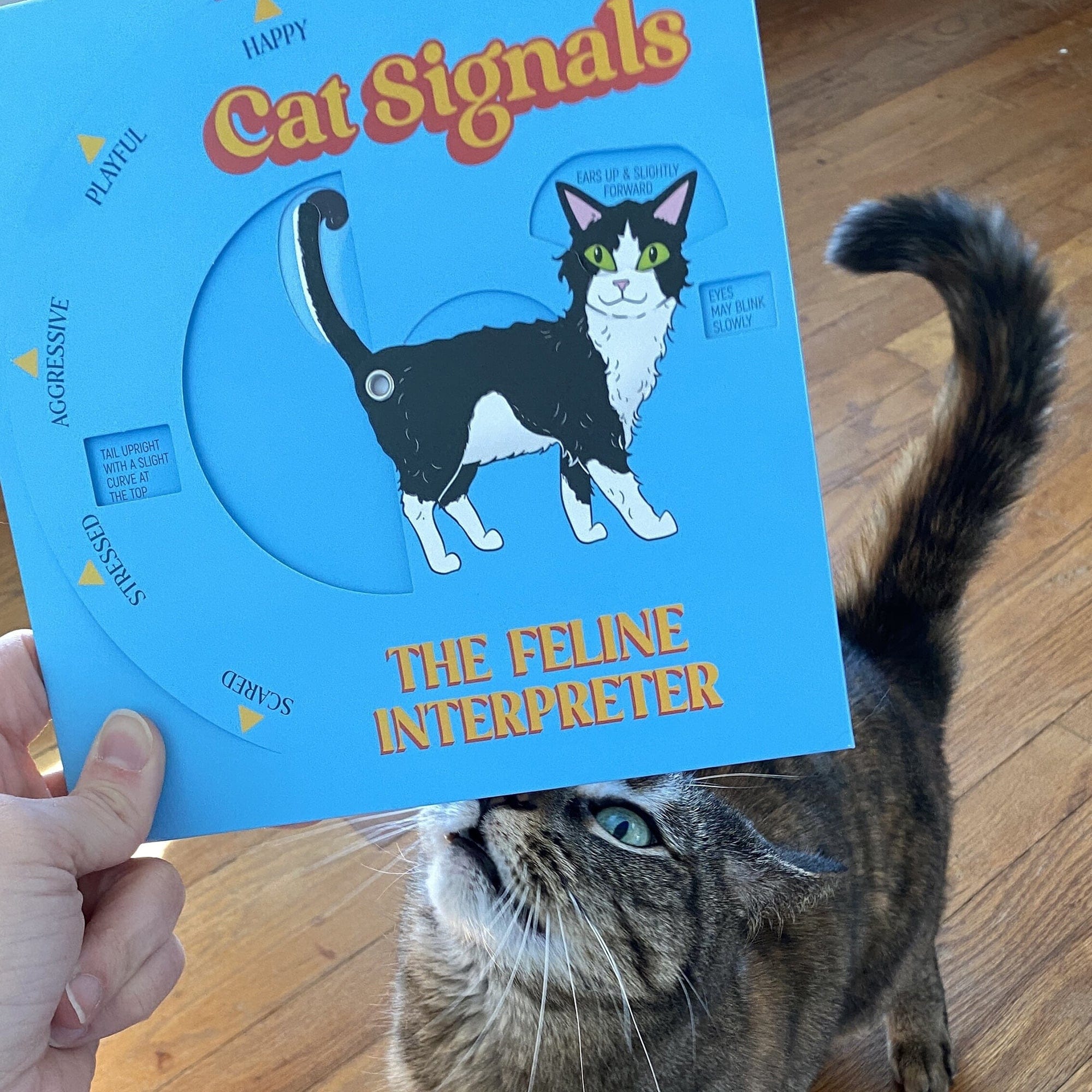 Cat Signals: The Feline Interpreter Wheel