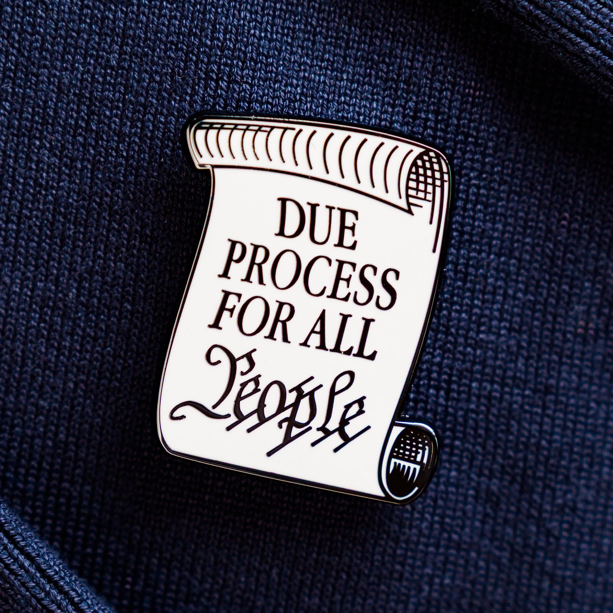 Due Process For All People Pin