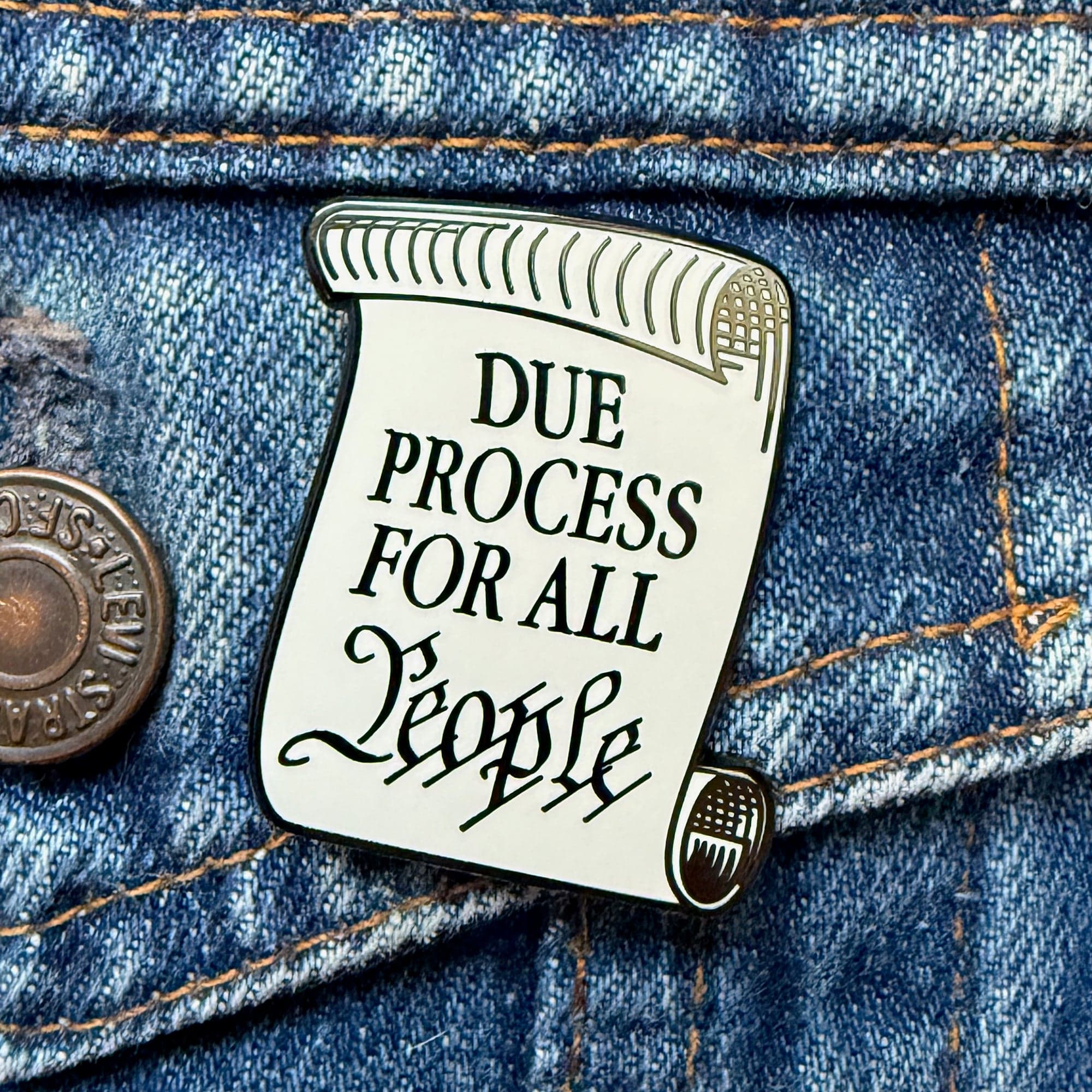 Due Process For All People Pin