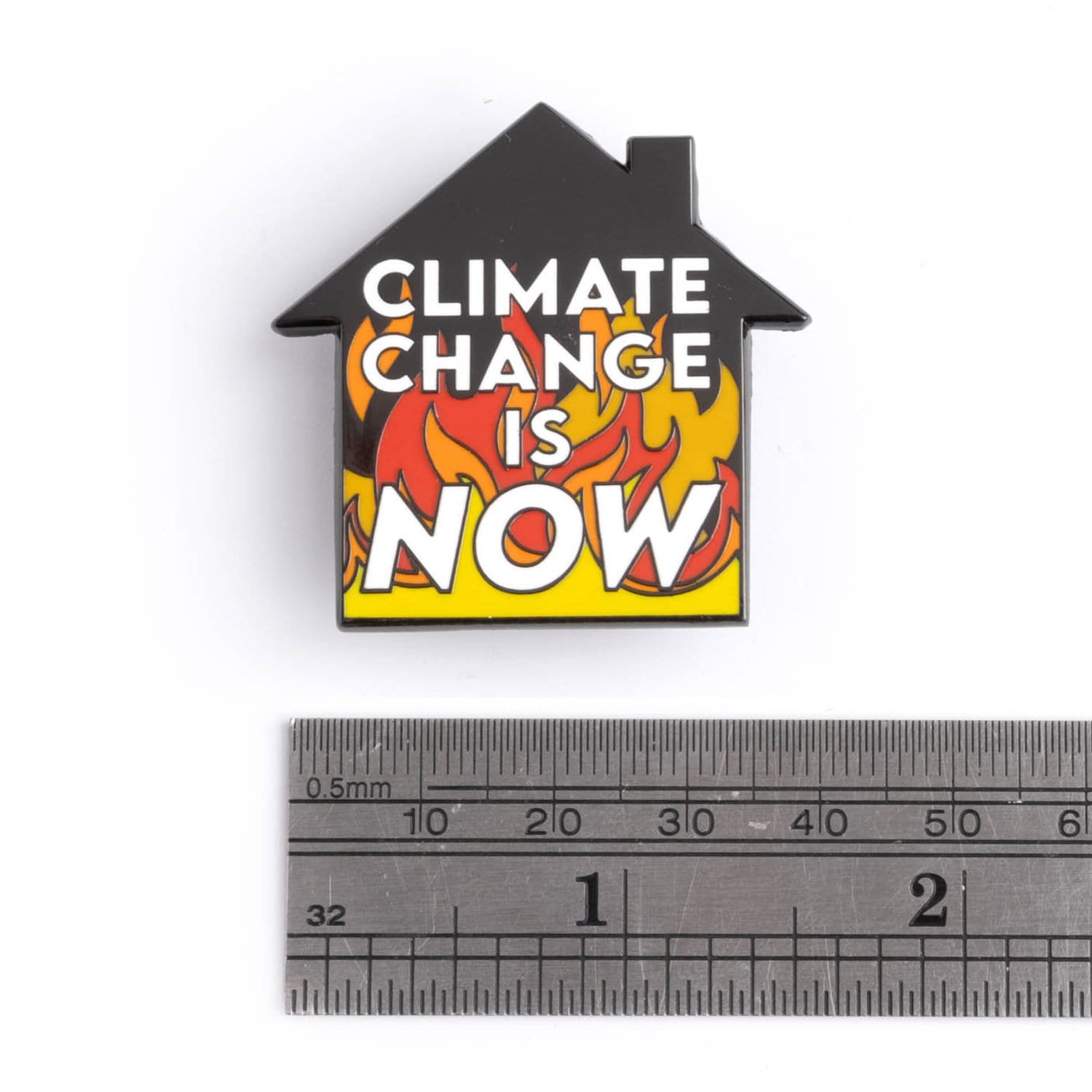 Climate Change is Now Pins
