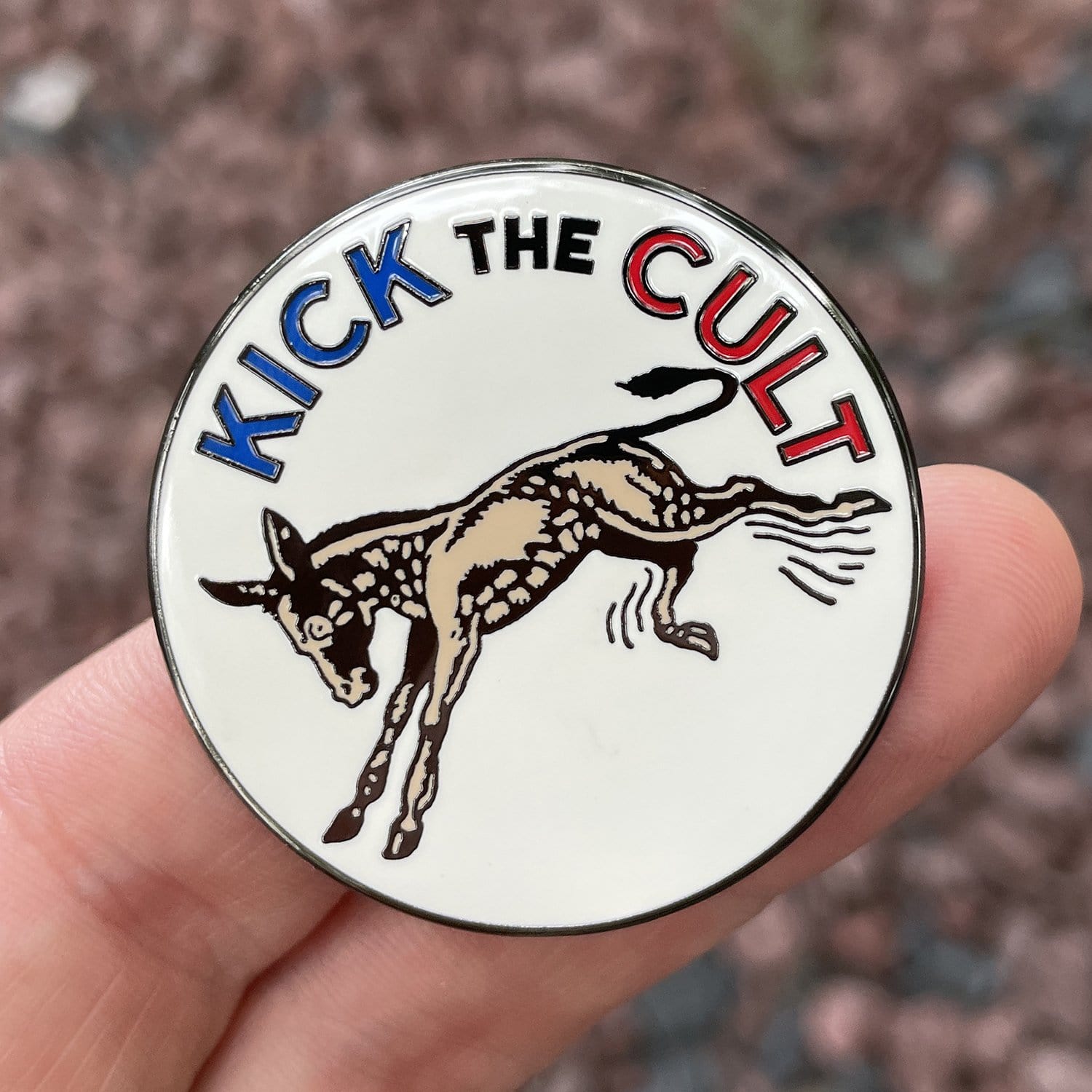 Kick the Cult Pin