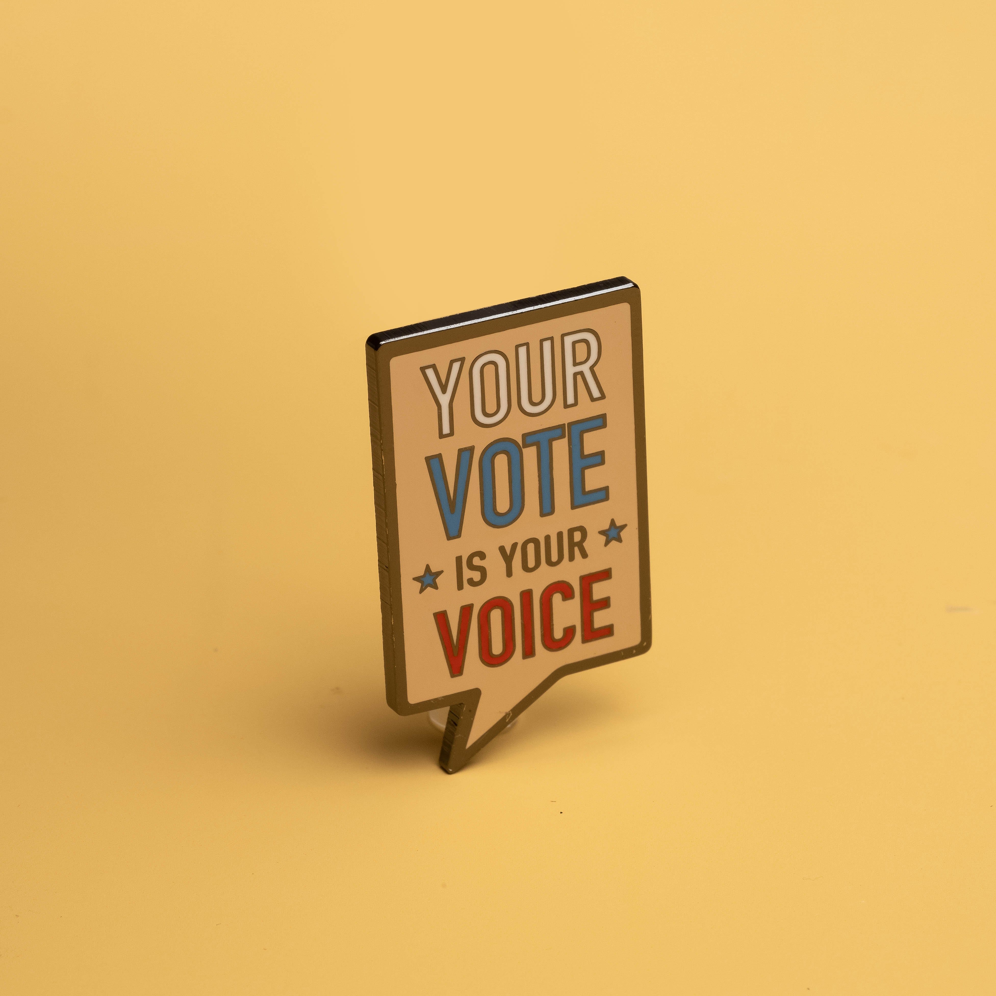 Your Vote is Your Voice Pin